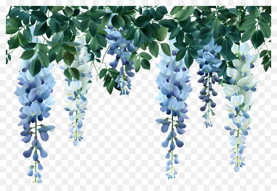 Flores Colgantes，Flores Moradas Colgantes PNG