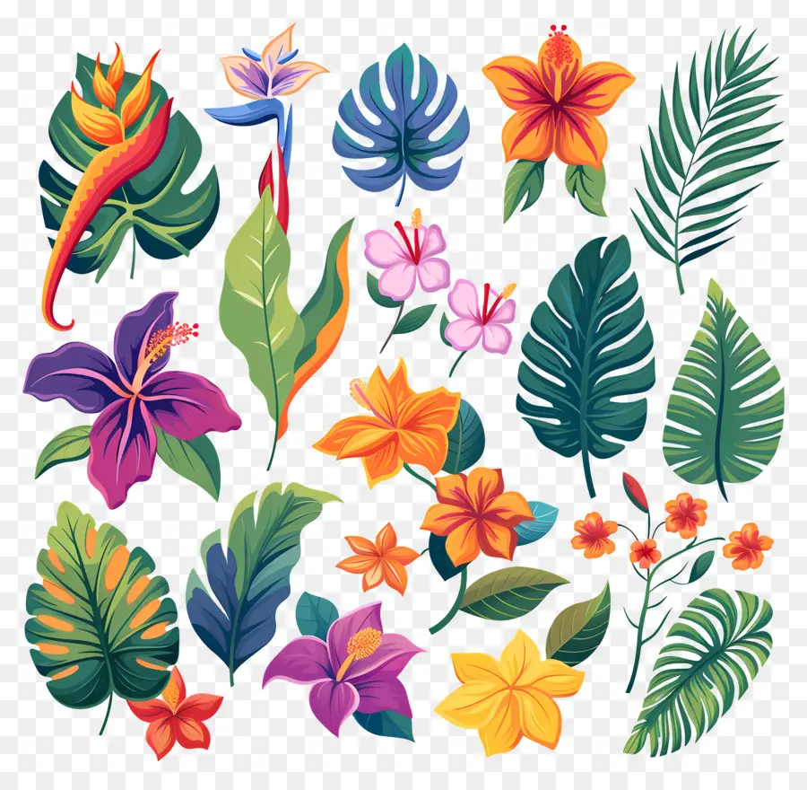 Flores Tropicales，Hojas Y Flores Tropicales PNG