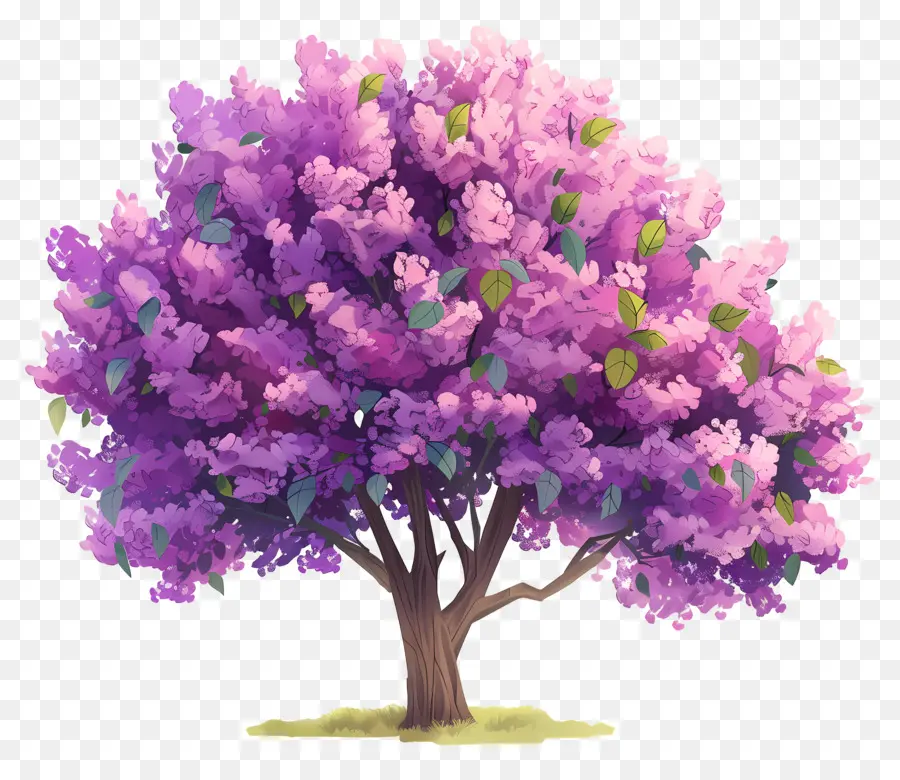 árbol De Flores，árbol Morado PNG