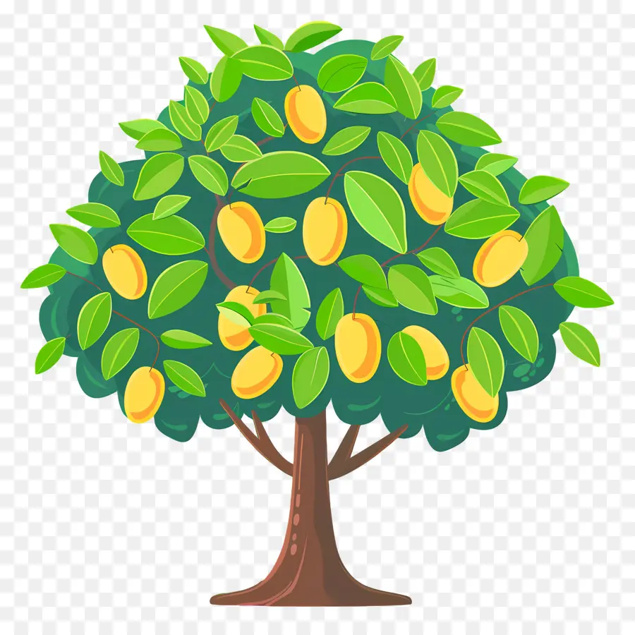 árbol De Mango，Fruta PNG