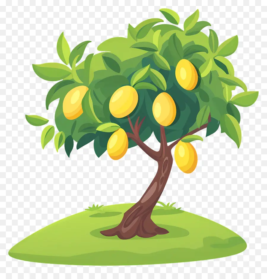 árbol De Mango，Fruta PNG