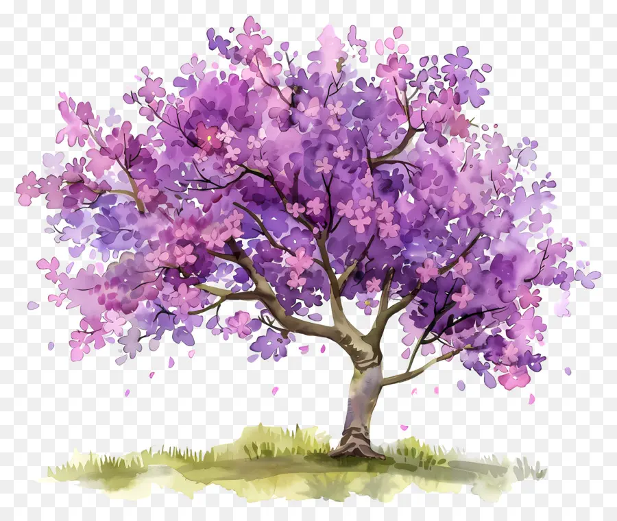 árbol De Flores，árbol Morado PNG