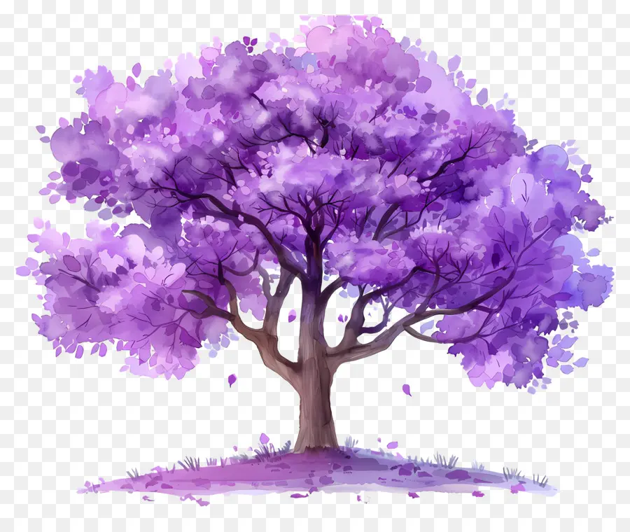 árbol De Flores，árbol Morado PNG