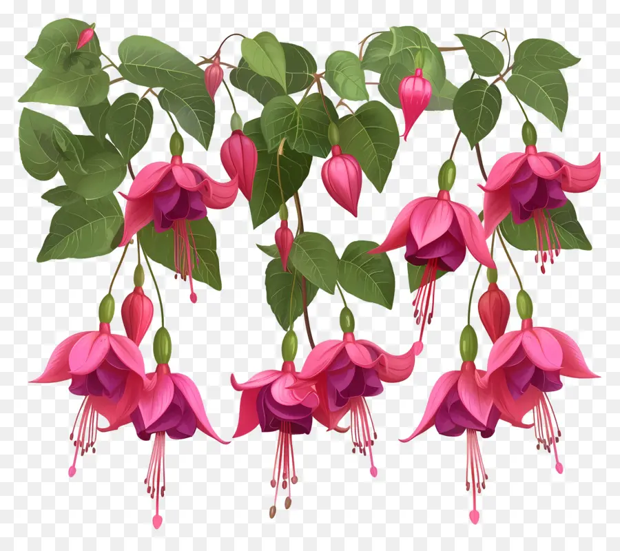 Flores Colgantes，Flores Rosadas PNG