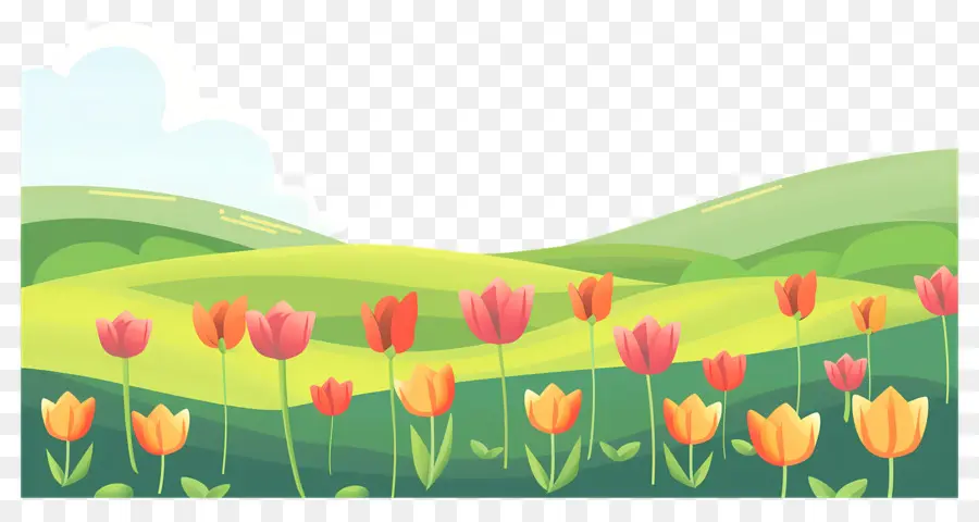 Hierba De Flores，Tulipanes PNG