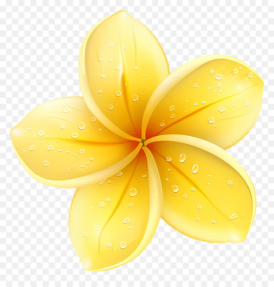 Flor De Plumeria，Flor Amarilla Con Gotas De Agua PNG