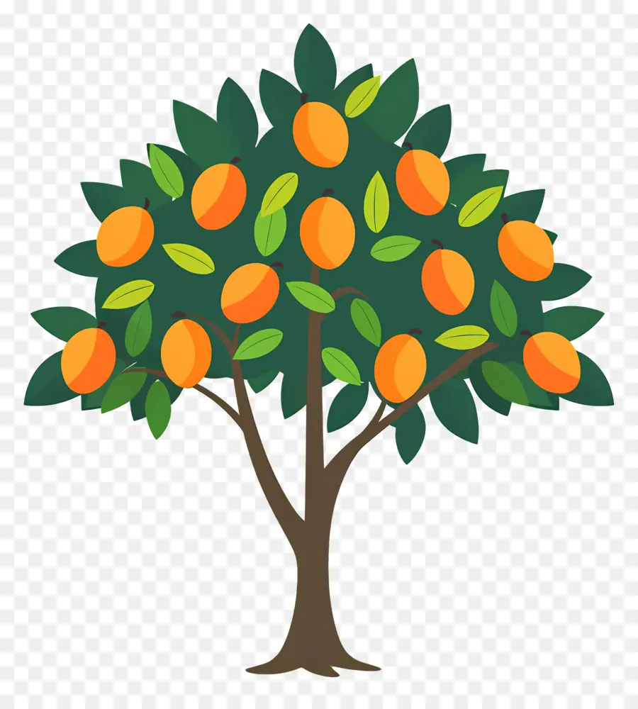 árbol De Mango，Fruta PNG