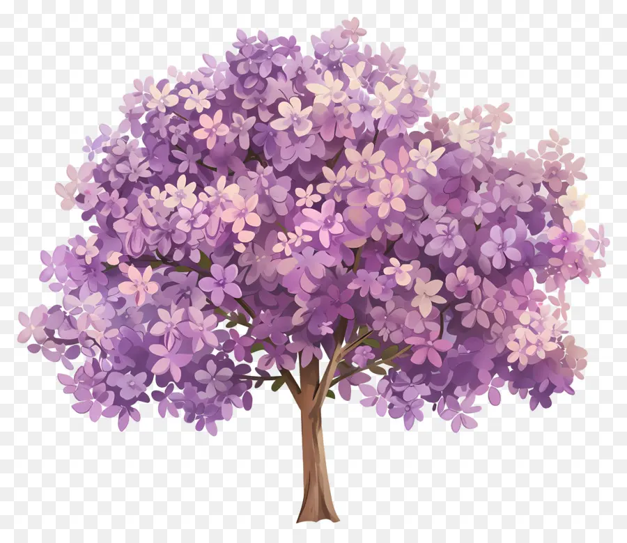 árbol De Flores，árbol Morado PNG