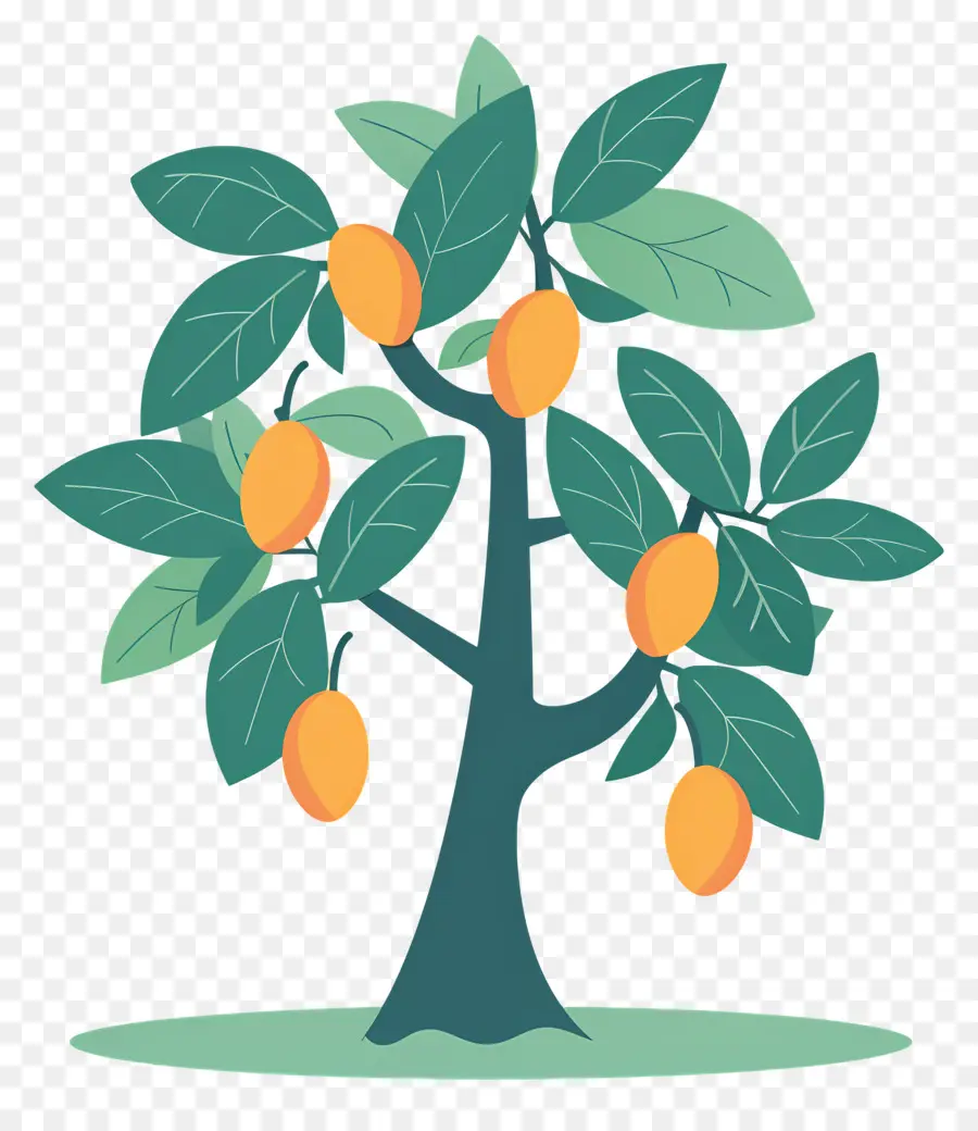 árbol De Mango，Fruta PNG