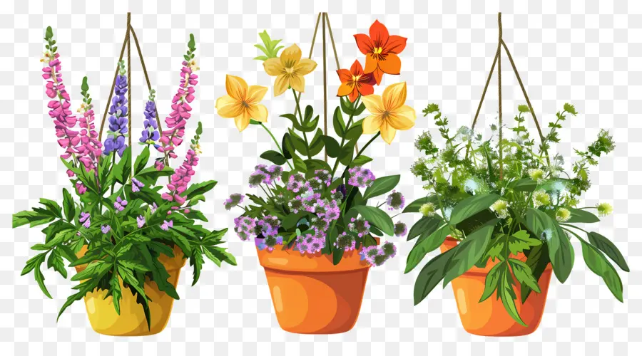 Flores Colgantes，Macetas Colgantes PNG