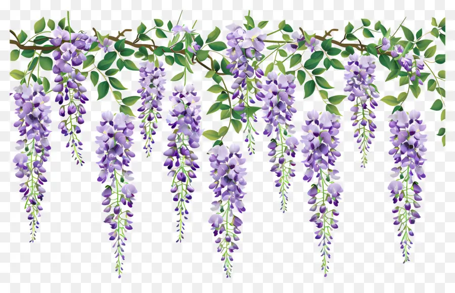 Flores Colgantes，Flores Moradas Colgantes PNG