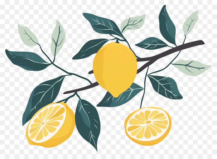 Limones，Rama De Limon PNG