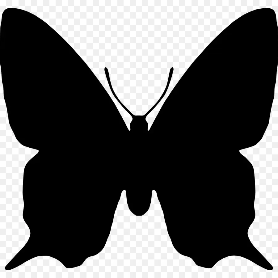 Silueta De Mariposa，Negro PNG