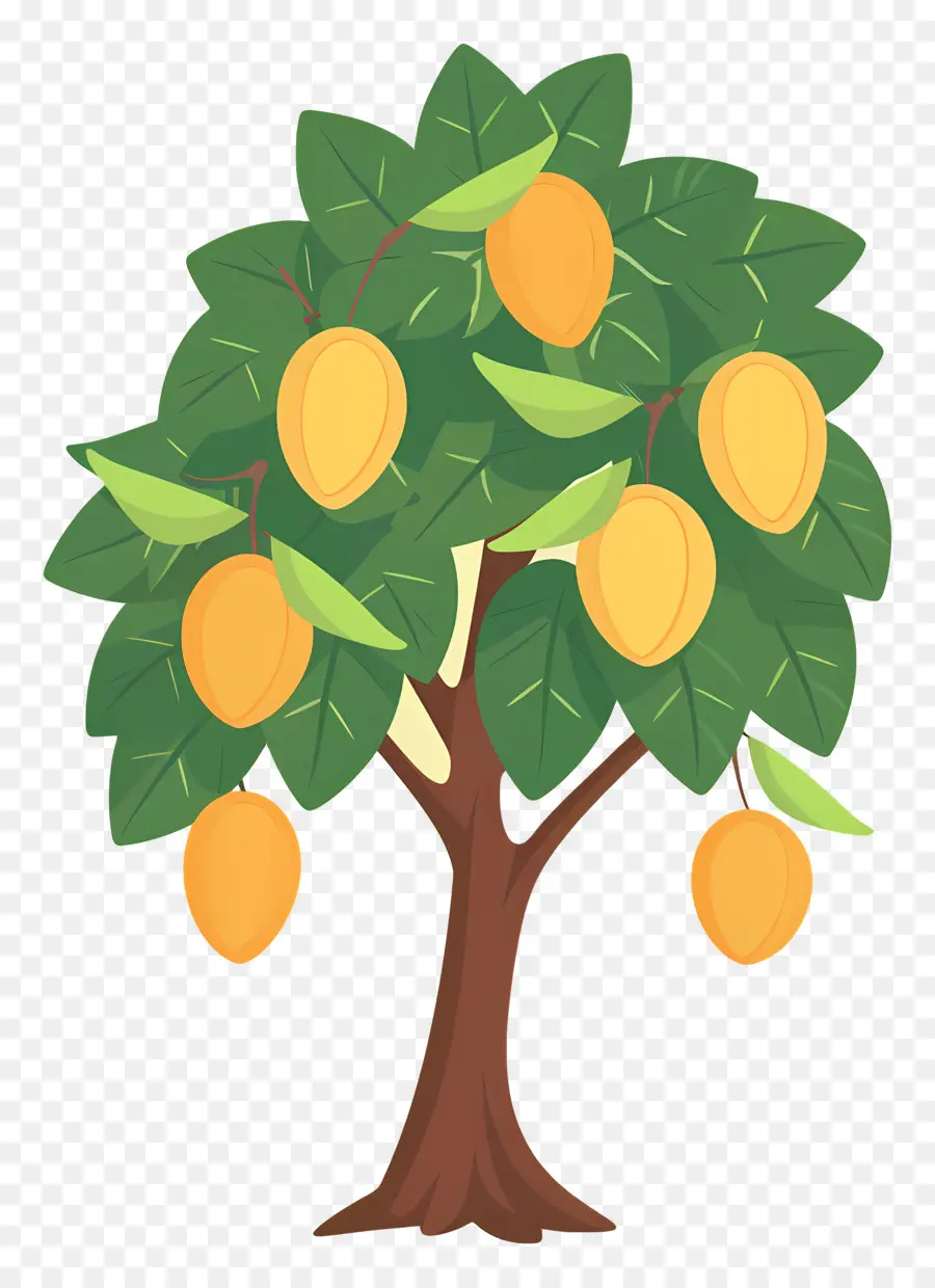 árbol De Mango，Fruta PNG