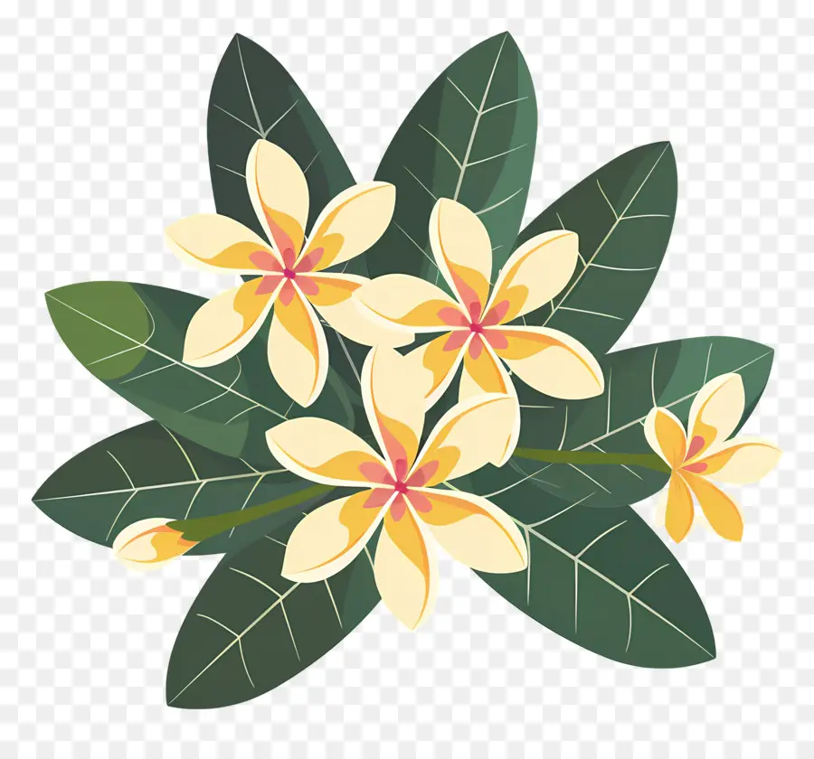 Flor De Plumeria，Flores Amarillas Y Hojas Verdes PNG