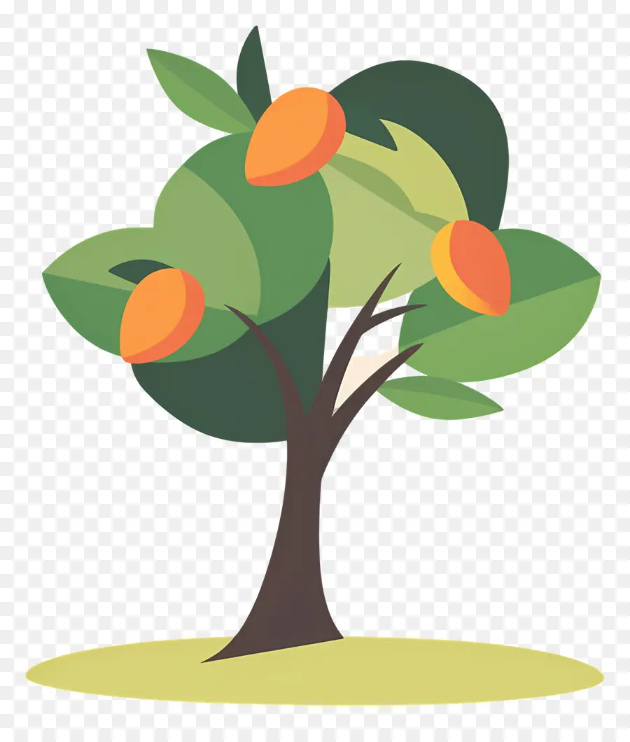 árbol De Mango，Fruta PNG