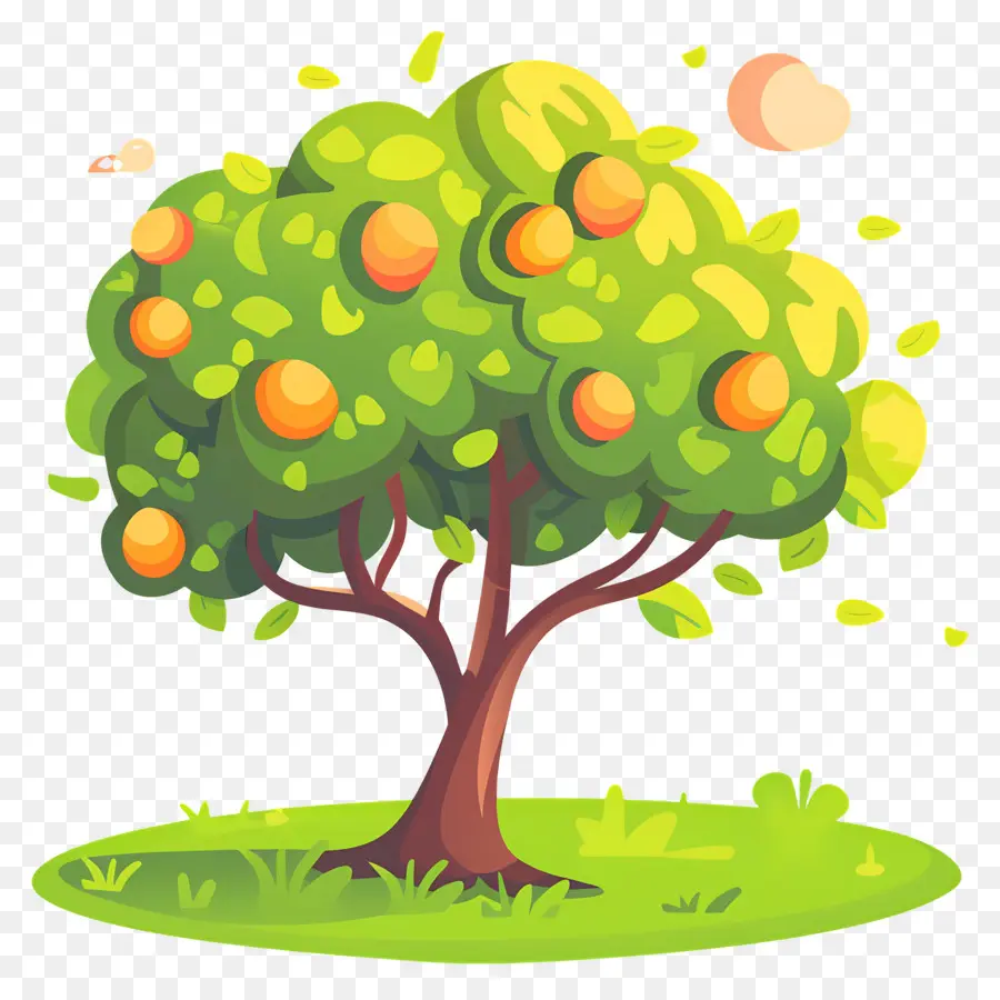 árbol De Mango，Fruta PNG