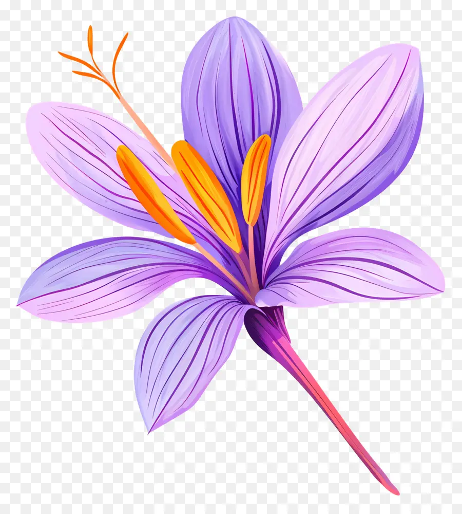 Flor De Azafrán，Flor Morada PNG