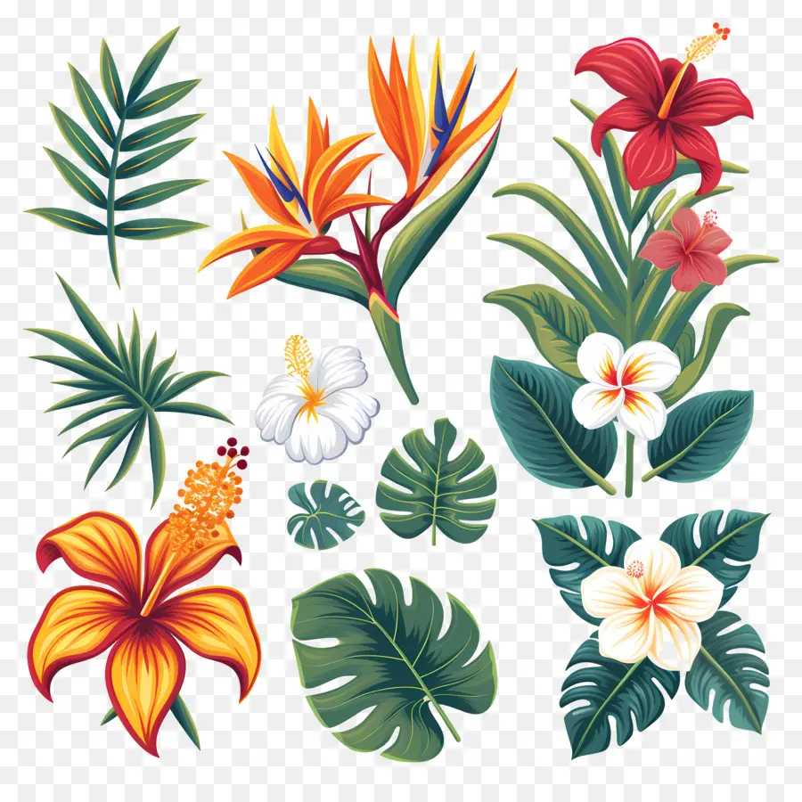 Flores Tropicales，Hojas Y Flores Tropicales PNG