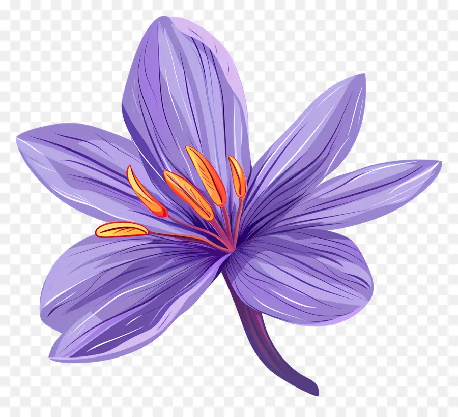 Flor De Azafrán，Flor Morada PNG