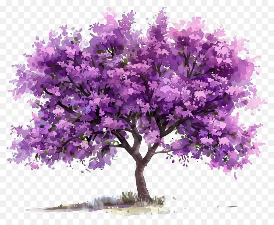 árbol De Flores，Árbol PNG