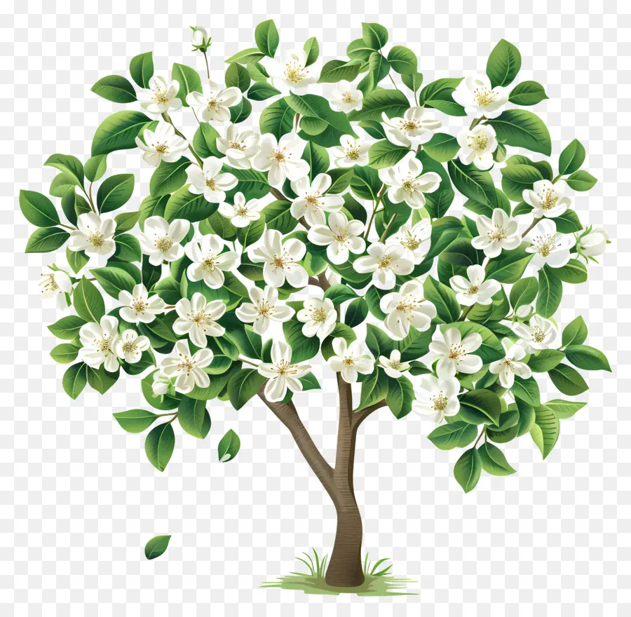 árbol De Flores，árbol Floreciente PNG