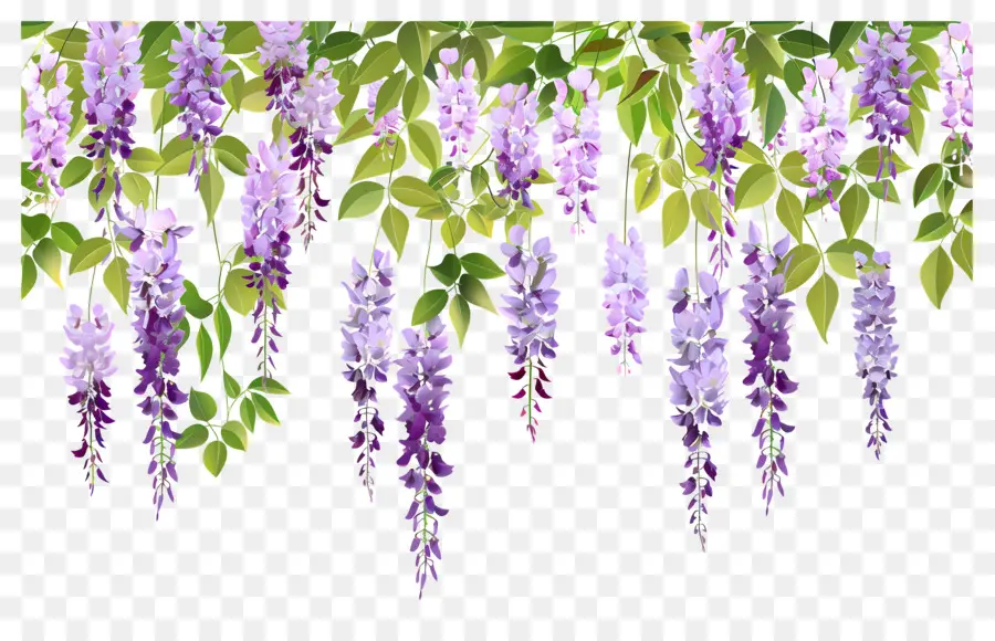 Flores Colgantes，Flores Moradas Colgantes PNG