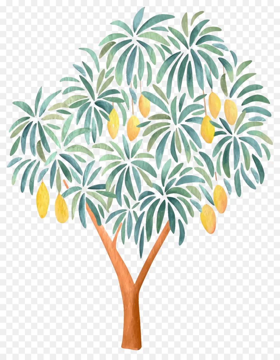 árbol De Mango，Fruta PNG