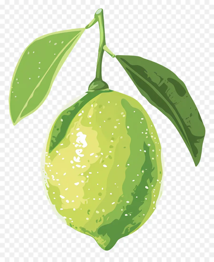 Limón Verde，Limón Con Hojas PNG