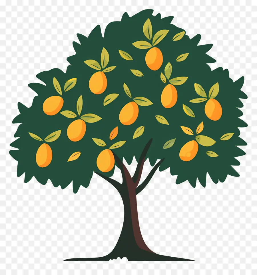 árbol De Mango，Fruta PNG