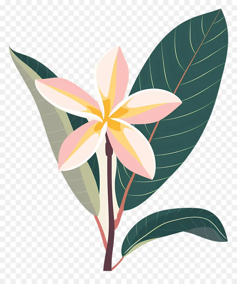 Flor De Plumeria，Flores Amarillas Y Hojas Verdes PNG