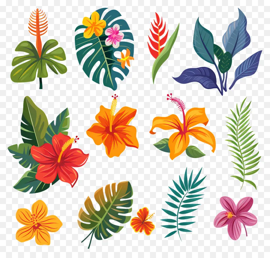 Flores Tropicales，Hojas Y Flores Tropicales PNG