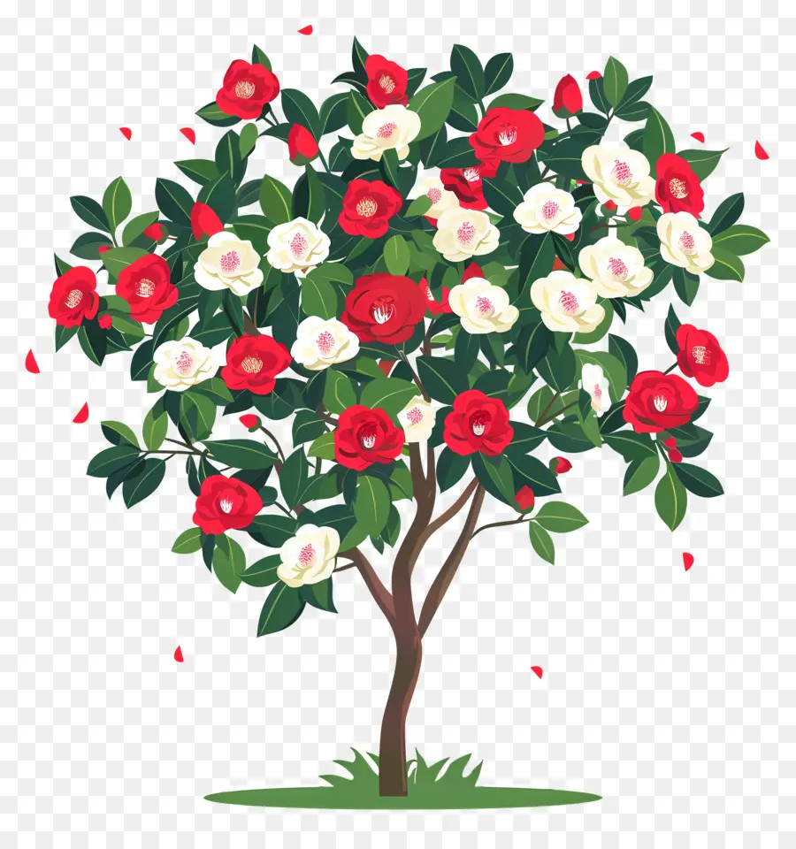 árbol De Flores，Árbol Con Flores Rojas Y Blancas PNG