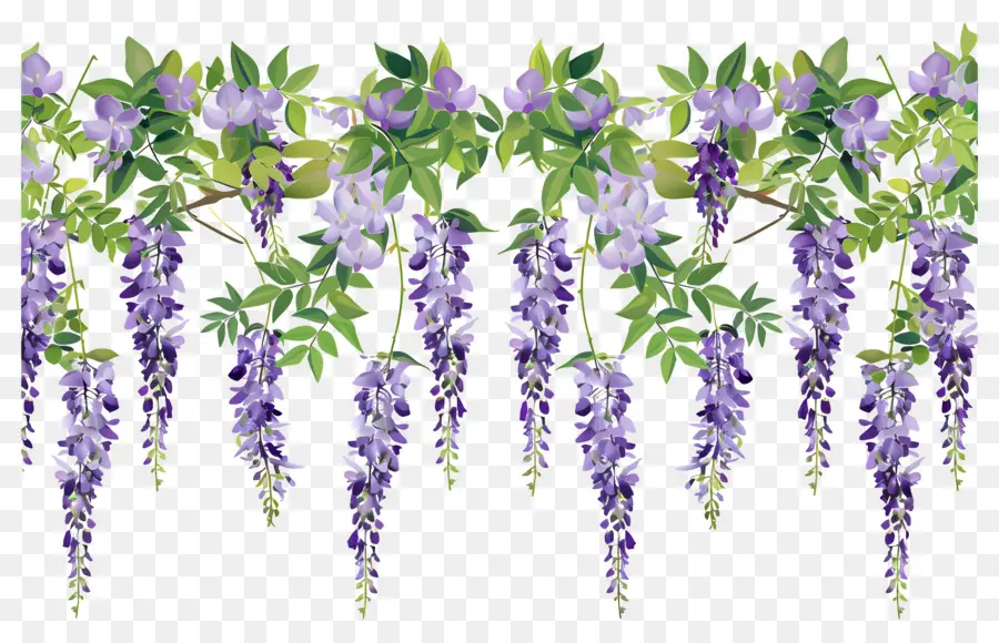 Flores Colgantes，Flores Moradas Colgantes PNG