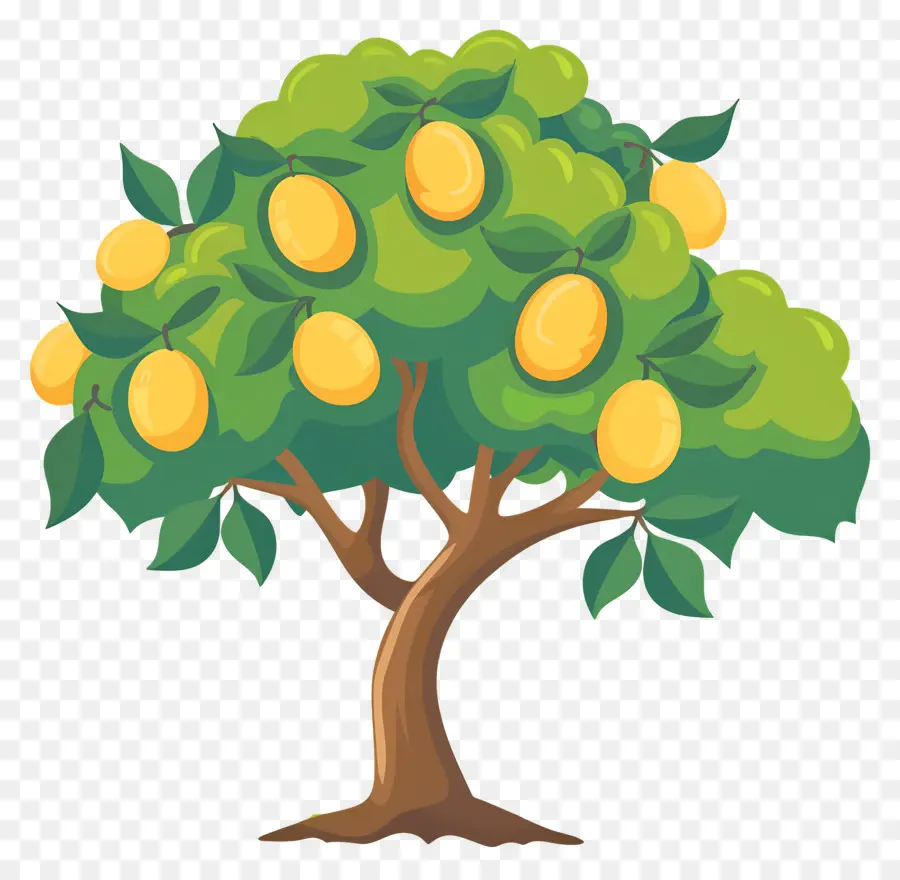 árbol De Mango，Fruta PNG