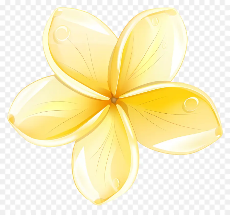 Flor De Plumeria，Flor Amarilla PNG