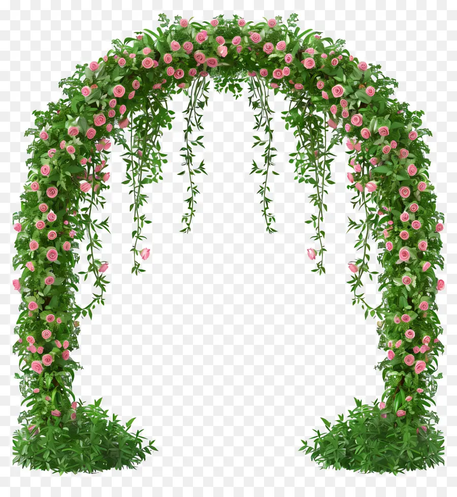 Arco Floral，Arco De Rosa Rosa PNG