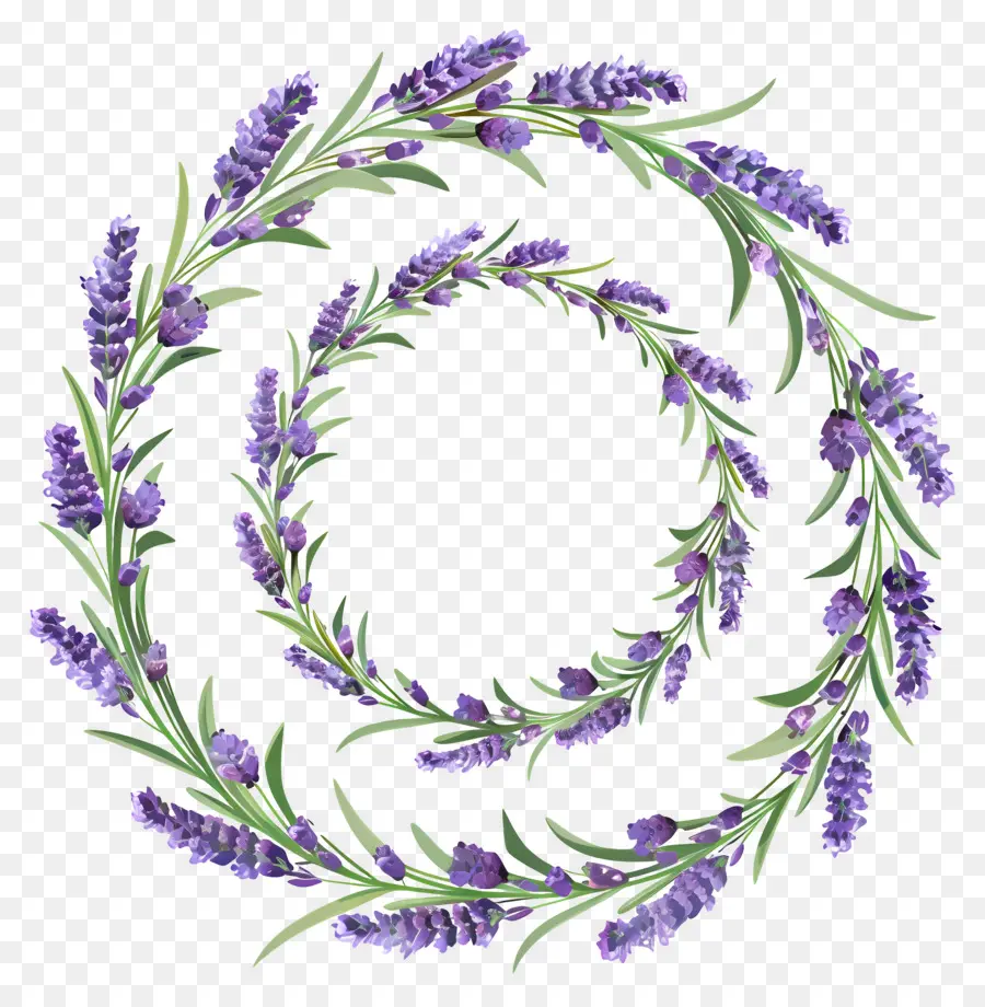 Corona De Lavanda，Hojas PNG