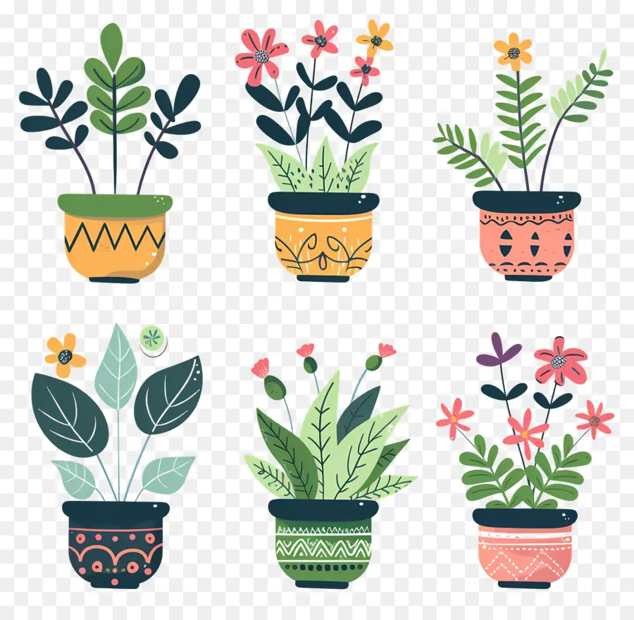 Flores En Macetas，Plantas En Macetas Coloridas PNG