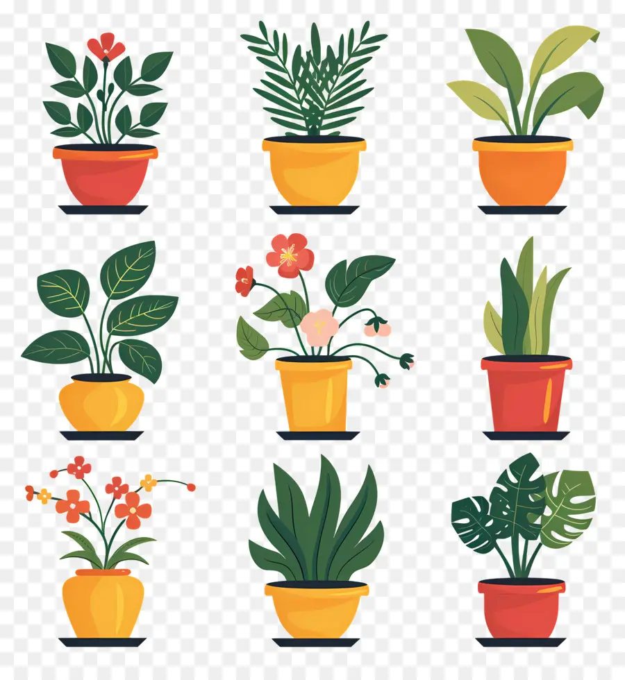 Flores En Macetas，Plantas En Macetas PNG