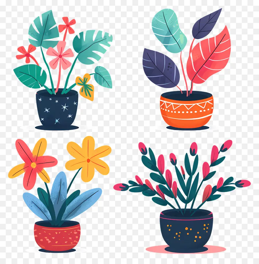 Plantas En Macetas，Plantas En Macetas Coloridas PNG