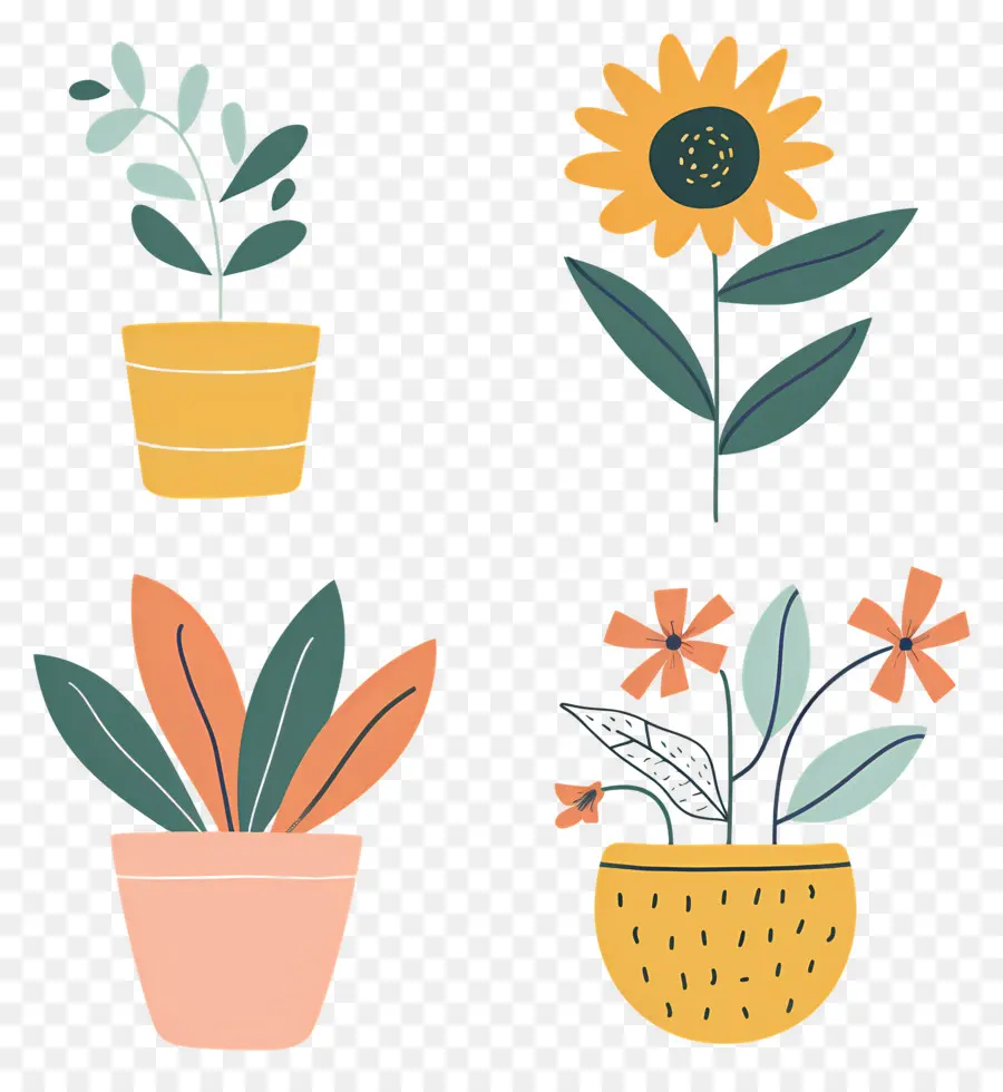 Plantas En Macetas，Plantas En Macetas Coloridas PNG