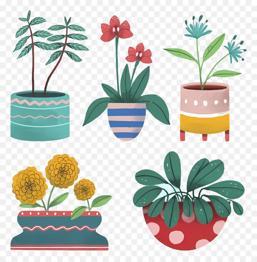 Flores En Macetas，Plantas En Macetas Coloridas PNG