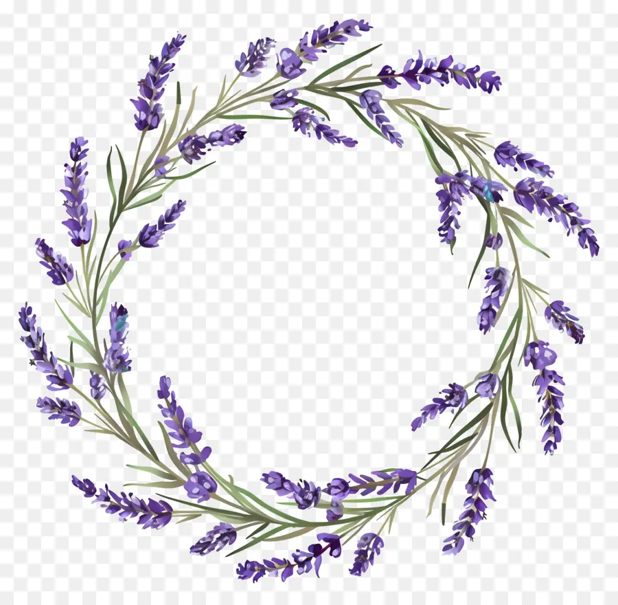 Corona De Lavanda，Hojas PNG