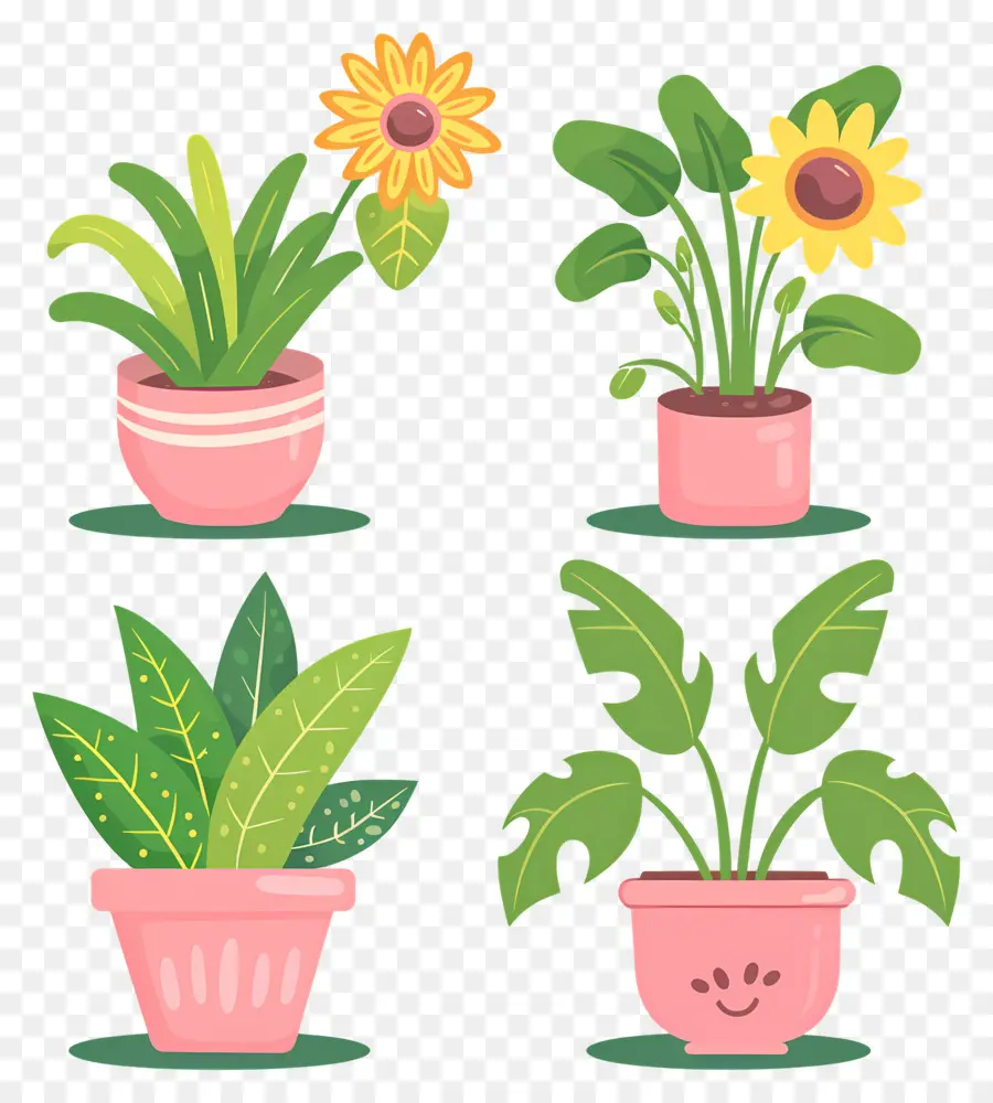 Plantas En Macetas，Macetas De Girasol PNG