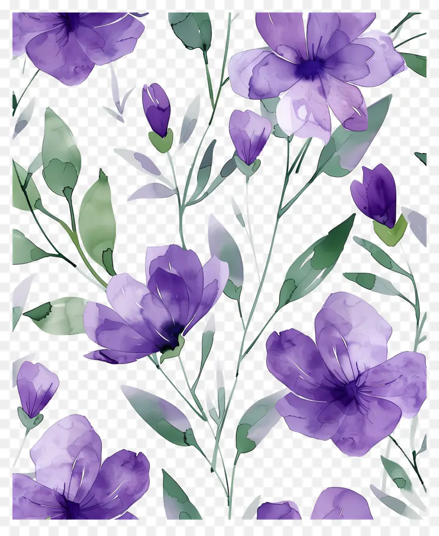 Flores De Acuarela，Patrón Floral Morado PNG