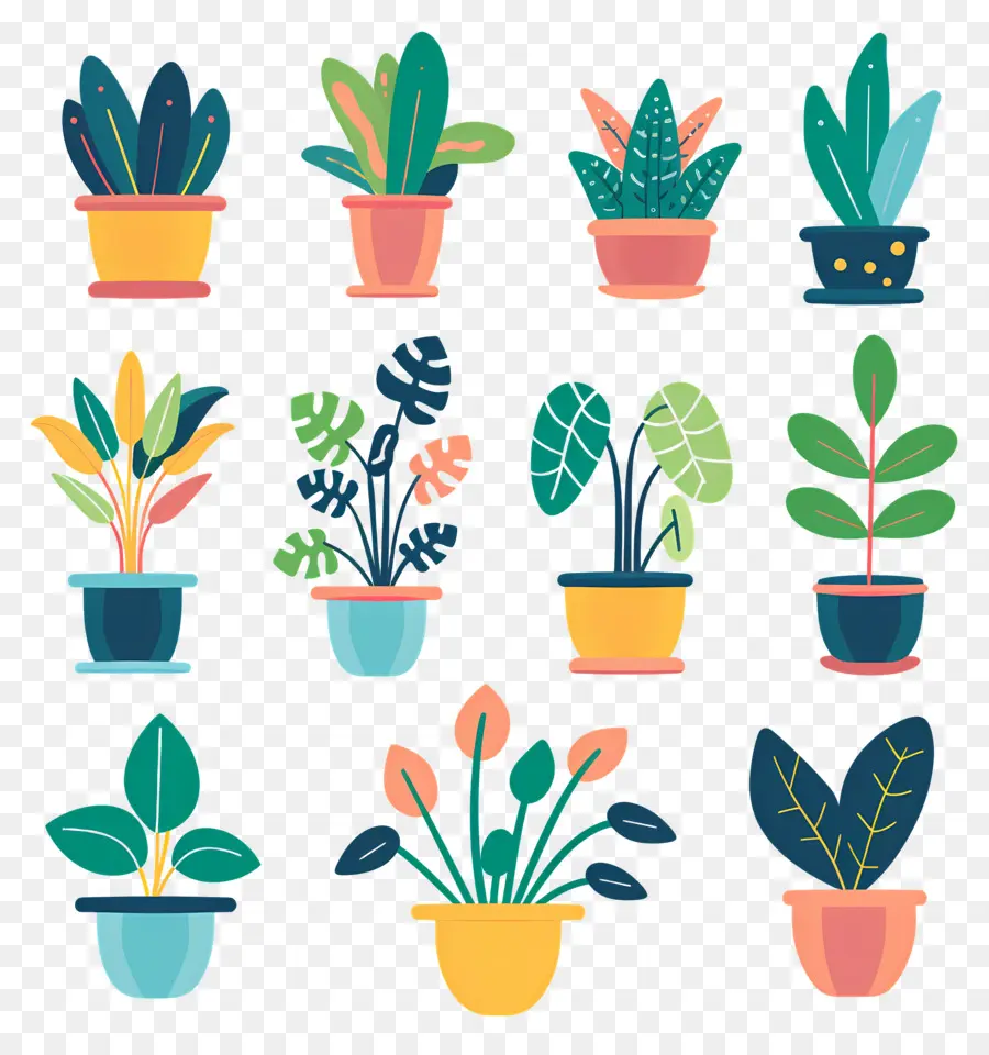 Flores En Macetas，Plantas En Macetas Coloridas PNG