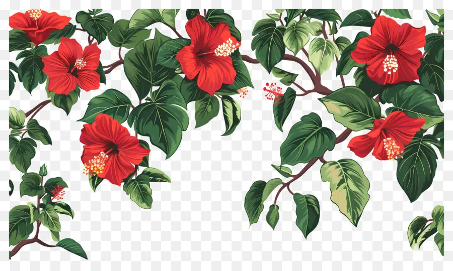 Arbusto De Flores，Flores Rojas PNG