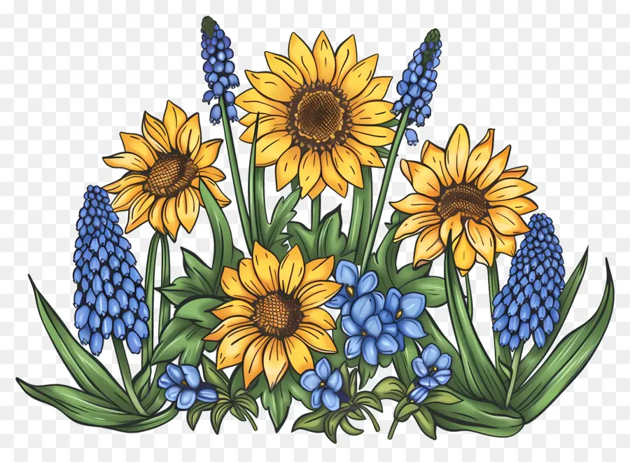 Frontera De Girasoles，Girasoles Y Flores Azules PNG