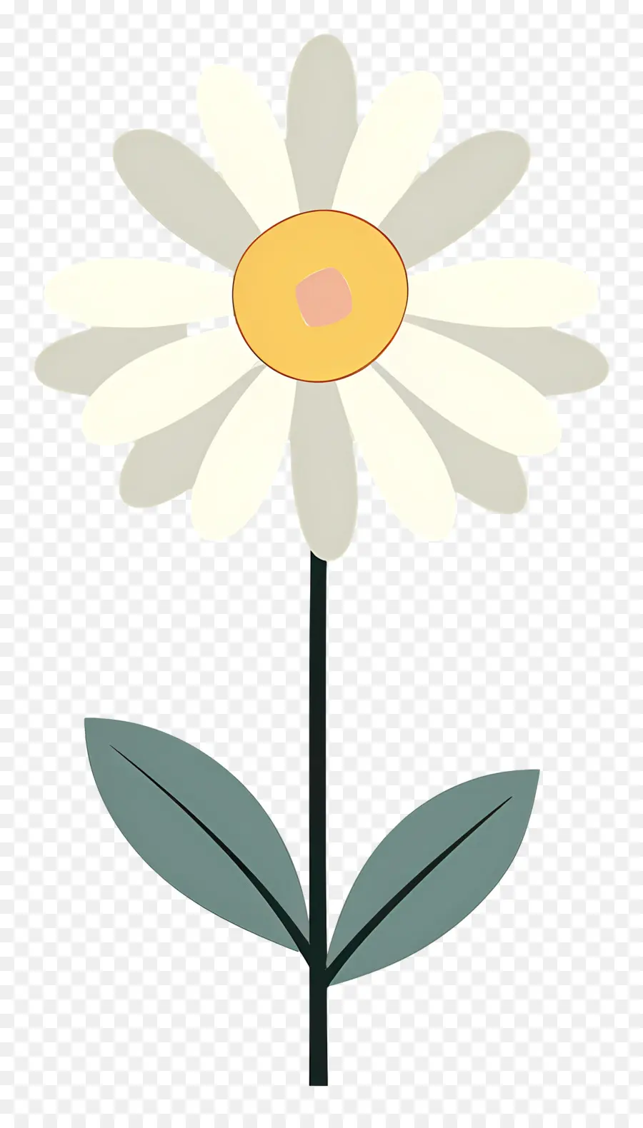 Flor De Margarita，Margarita PNG